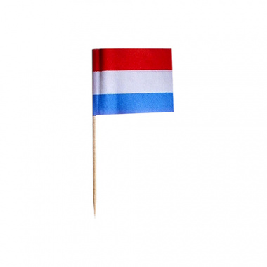 500 Deko-Picker 8 cm -Niederlande-