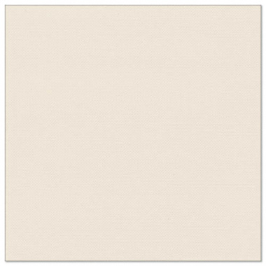 20 Servietten -ROYAL Collection- 1/4-Falz 40 cm x 40 cm champagner