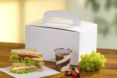 20 Lunch-Boxen, Pappe eckig 12,5 cm x 15,5 cm x 22,5 cm weiss mit Tragegriff