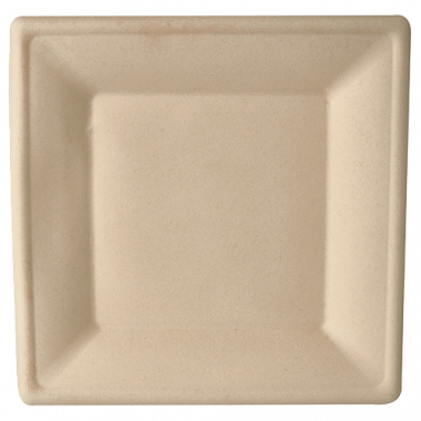 50 Teller, Zuckerrohr pure eckig 26 cm x 26 cm natur