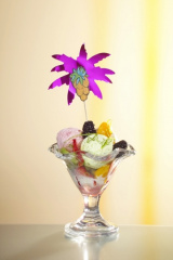 50 Deko-Picker 19,5 cm farbig sortiert -Palmblätter-