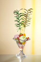 144 Deko-Picker 12 cm farbig sortiert -Palmblätter-