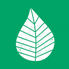 20 Servietten, 3-lagig 1/4-Falz 33 cm x 33 cm grün Graphic Leaves