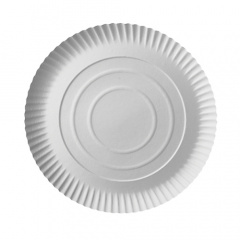 100 Teller, Pappe -pure- rund  26 cm 2 cm weiss