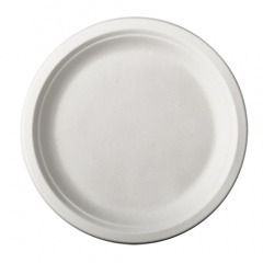 12 Teller, Zuckerrohr -pure- ungeteilt  23 cm 2 cm weiss