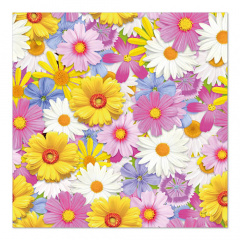 20 Servietten, 3-lagig 1/4-Falz 33 cm x 33 cm Daisies Mix
