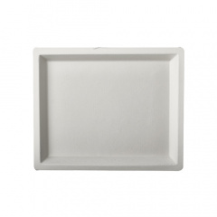 50 Teller, Zuckerrohr pure eckig 14 cm x 17 cm weiss